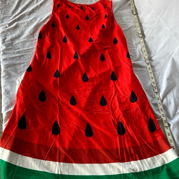 Women’s Watermelon Costume Dress, Size Medium - Picture 9 of 9